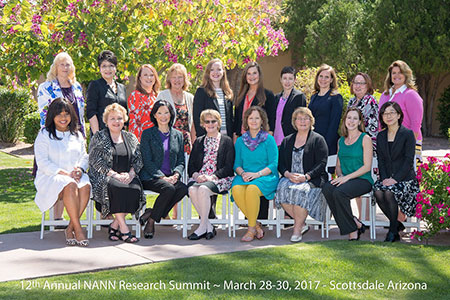2017 NANN Research Summit