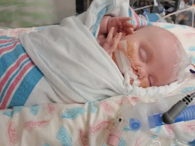 Owen Baby