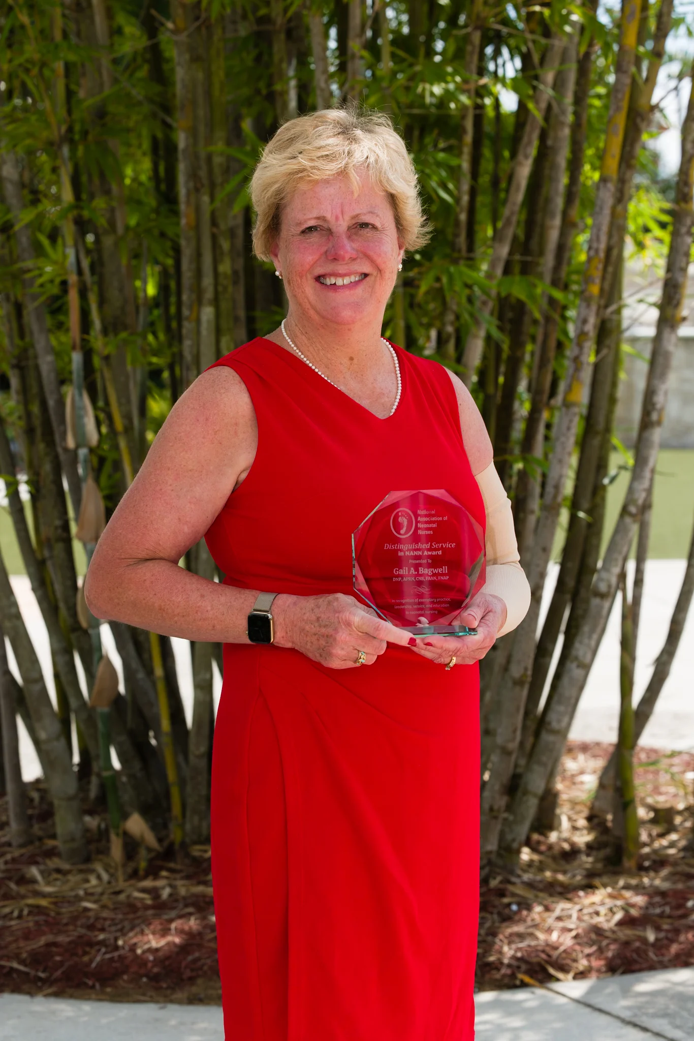 nann distinguished service award
